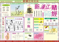 新濠江赌经A